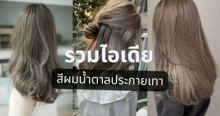 External Link: รวมไอเดีย สีผมน้ำตาลประกายเทา เพิ่มมิติให้ผมสวยเก๋แบบคนชิค ๆ | บทความของ MintPiyada | SistaCafe ครบเครื่องเรื่องบิวตี้