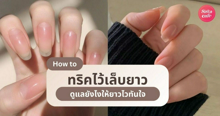 External Link: ทริคไว้เล็บยาว รวมเด็ดเทคนิคดูแลเล็บยังไง ให้ยาวไวทันใจแถมสุขภาพดี | บทความของ Allaboutthebass | SistaCafe ครบเครื่องเรื่องบิวตี้