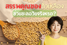 External Link: สรรพคุณของถั่วเหลือง ช่วยชะลอวัยจริงเหรอ? | บทความของ Sis_Glowup Diary 👑 | SistaCafe ครบเครื่องเรื่องบิวตี้