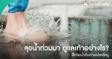 External Link: วิธีดูแลเท้าหลังลุยน้ำท่วม ป้องกันโรคน้ำกัดเท้า และโรคฉี่หนู หลังเดินลุยน้ำท่วมหรือน้ำขัง ควรล้างและเช็ดเท้าอย่างไร? | บทความของ SIS GURU | SistaCafe ครบเครื่องเรื่องบิวตี้