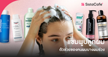 External Link: อัปเดต แชมพูปลูกผม ช่วยกระตุ้นผมใหม่ เน้นส่วนผสมบำรุงราก ลดผมขาดร่วง | บทความของ SIS GURU | SistaCafe ครบเครื่องเรื่องบิวตี้