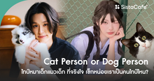 External Link: Cat Person or Dog Person ไทป์หมาเด็กแมวเด็ก ที่จริงใจ เช็กหน่อยเราเป็นคนไทป์ไหน? | บทความของ SIS TALK | SistaCafe ครบเครื่องเรื่องบิวตี้