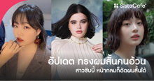 External Link: อัปเดต ทรงผมสั้นคนอ้วน 2025 สาวชับบี้หน้ากลมก็ตัดผมสั้นได้ | บทความของ พี่เหมียว | SistaCafe ครบเครื่องเรื่องบิวตี้