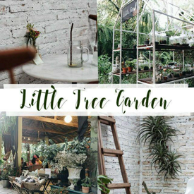 รูปภาพหน้าปกบทความ:Little Tree & Garden ร้านอาหารสไตล์อังกฤษ บรรยากาศดีๆในสวนสวย 