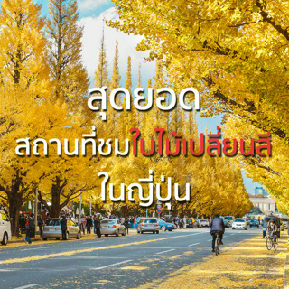 ภาพหน้าปกบทความ:title