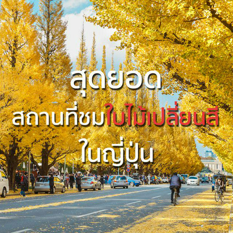 รูปภาพหน้าปกบทความ:สถานที่ชมใบไม้เปลี่ยนสี ที่ต้องไปในประเทศญี่ปุ่น