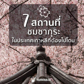 รูปภาพหน้าปกบทความ:7 สถานที่ ชมซากุระในประเทศเกาหลีที่ต้องไปโดน