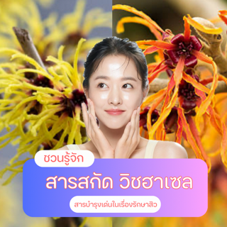 ภาพหน้าปกบทความ:title