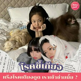 รูปภาพหน้าปกบทความ:โรคขี้เกียจ มีจริงไหม? สรุปเราแค่ขี้เกียจ หรือเข้าข่ายมีอาการเตียงดูด?