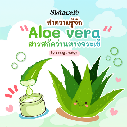 รูปภาพหน้าปกบทความ:Aloe Vera ทำความรู้จักกับสารสกัดว่านหางจระเข้