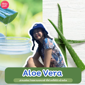 รูปภาพหน้าปกบทความ:Aloe Vera มารู้จักกับสารสกัดว่านหางจระเข้ ตัวช่วยผิวฉ่ำเด้ง ไม่ไหม้แดด