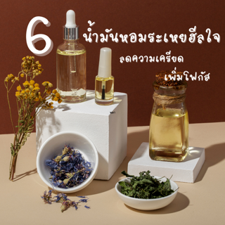 ภาพหน้าปกบทความ:title