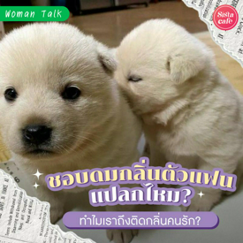 รูปภาพหน้าปกบทความ:ชอบดมกลิ่นตัวแฟน แปลกไหม? ทำไมเราถึงติดดมกลิ่นของคนรัก?