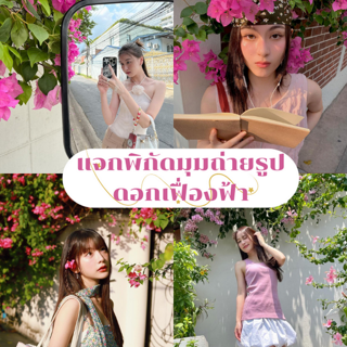 ภาพหน้าปกบทความ:title