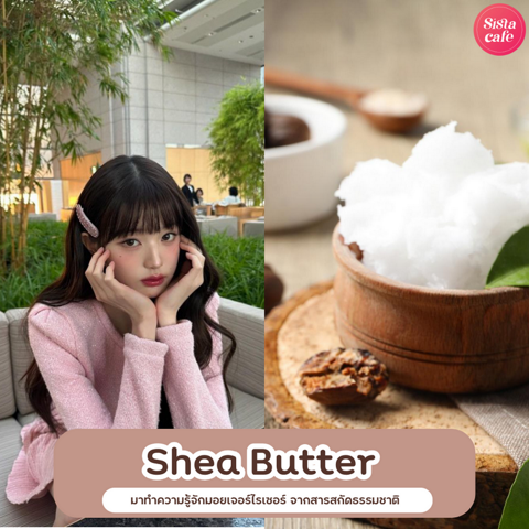 รูปภาพหน้าปกบทความ:Shea butter มาทำความรู้จักมอยส์เจอร์ไรเซอร์ จากสารสกัดธรรมชาติ