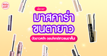 External Link: มาสคาร่าขนตายาว มัดรวม 15 แบรนด์ปัดแล้วยาวสะใจ ตอบโจทย์ชาวขนตาสั้น! | บทความของ pumxpurin | SistaCafe ครบเครื่องเรื่องบิวตี้