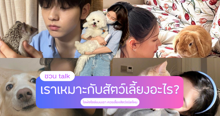 External Link: เราเหมาะกับสัตว์เลี้ยงอะไร ? ไลฟ์สไตล์แบบเราควรเลี้ยงสัตว์แบบไหนกันนะ | บทความของ chollychon | SistaCafe ครบเครื่องเรื่องบิวตี้