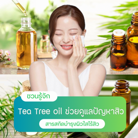 รูปภาพหน้าปกบทความ:Tea Tree Oil ตัวช่วยดูแลปัญหาสิว สารสกัดบำรุงผิวเนียนใส