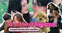 External Link: ตัวแม่ชอบไทป์ลูกหมา แฮชแท็กฮิต TikTok ชวนคุยทำไมคนถึงแพ้ทางคนขี้อ้อน  | บทความของ belfry | SistaCafe ครบเครื่องเรื่องบิวตี้