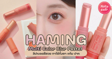 External Link: HAMING Multi Color Blur Pastel ลิปเบลอปาก 3in1 สีสวยทาได้ทั้งตา แก้ม ปาก | บทความของ belfry | SistaCafe ครบเครื่องเรื่องบิวตี้