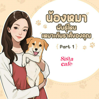 ภาพหน้าปกบทความ:title