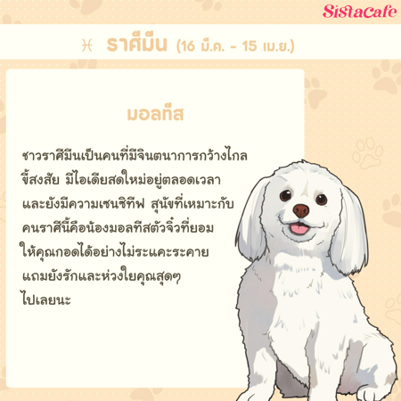 ภาพประกอบบทความ:sistacafe-assets:____%2Fc%2F202234%2Fefa4ab21-4392-4416-a250-e56c7a01370f?v=20240818185436