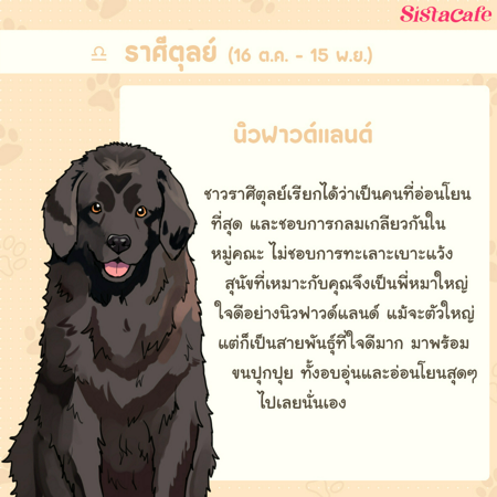 ภาพประกอบบทความ:sistacafe-assets:____%2Fc%2F202235%2F056754c8-eca7-4e66-ad19-a9cb86e55711?v=20240818190227