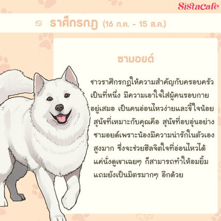 ภาพประกอบบทความ:sistacafe-assets:____%2Fc%2F202235%2F698f6361-b0a8-4457-ba3b-b957f4a75af0?v=20240818185846