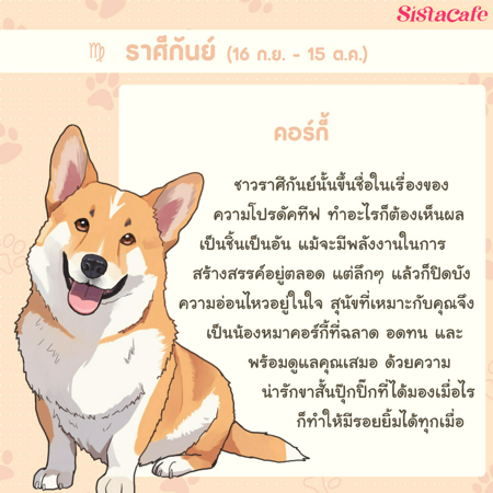 ภาพประกอบบทความ:sistacafe-assets:____%2Fc%2F202235%2F9d71bb59-1225-436e-a1d9-fb600ae1ec89?v=20240818190208