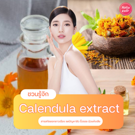 รูปภาพหน้าปกบทความ:Calendula extract สารสกัดดอกดาวเรือง ลดปัญหาสิว ริ้วรอย ผิวแห้งเสีย