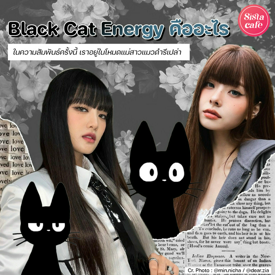 รูปภาพหน้าปกบทความ:Black Cat Energy คืออะไร ความสัมพันธ์นี้เราเปิดโหมดแม่สาวแมวดำรึเปล่า?