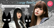 External Link: Black Cat Energy คืออะไร ความสัมพันธ์นี้เราเปิดโหมดแม่สาวแมวดำรึเปล่า? | บทความของ belfry | SistaCafe ครบเครื่องเรื่องบิวตี้