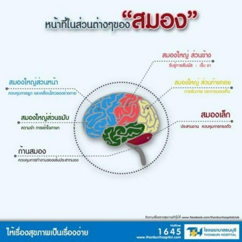 รูปภาพหน้าปกบทความ:โรคหลอดเลือดสมอง ภัยร้ายใกล้ตัว