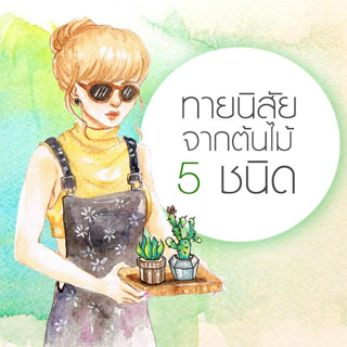 ภาพหน้าปกบทความ:title