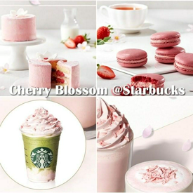 รูปภาพหน้าปกบทความ:เมนูขนม และเครื่องดื่ม 'ซากุระ' จาก 'Starbucks เกาหลี' มีความตะมุตะมิมากๆ 