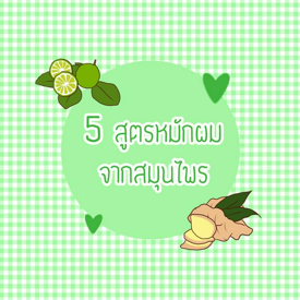 รูปภาพหน้าปกบทความ:5 สูตรหมักผมสวย จากสมุนไพรใกล้ตัว