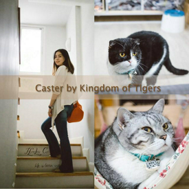 รูปภาพหน้าปกบทความ:เรื่องแมว ๆ ที่ Catser by Kingdom of Tiger ดินแดนของน้องเหมียวย่านพระประแดง