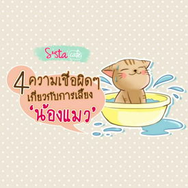 รูปภาพหน้าปกบทความ:4 ความเชื่อผิดๆ เกี่ยวกับการเลี้ยง 'น้องแมว'