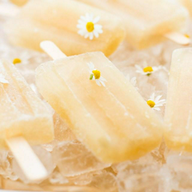 รูปภาพหน้าปกบทความ:Honey Chamomile Popsicles ไอติมแท่งหวานเย็นสูตรเด็ด ผสมน้ำผึ้งและดอกคาโมมายล์