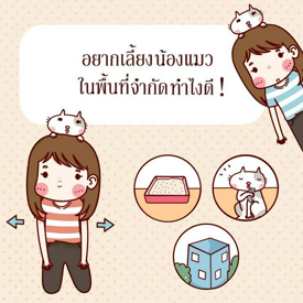 รูปภาพหน้าปกบทความ:อยากเลี้ยง  น้องแมว ในพื้นที่ จำกัด ทำไงดี !