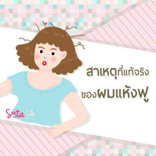 ภาพหน้าปกบทความ:title