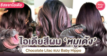 External Link: Chocolate Lilac ผมสีน้ำตาลประกายม่วงแบบน้องหมูเด้ง เซเลบที่เฟมัสสุดนาทีนี้! | บทความของ pita | SistaCafe ครบเครื่องเรื่องบิวตี้