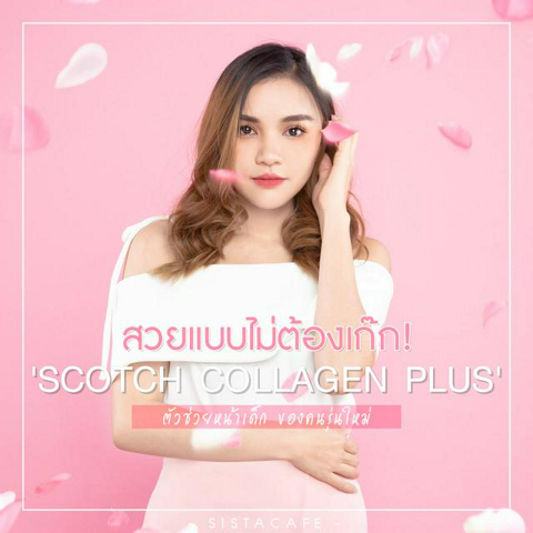 รูปภาพหน้าปกบทความ:สวยแบบไม่ต้องเก๊ก! 'Scotch Collagen Plus' ตัวช่วยหน้าเด็ก ของคนรุ่นใหม่ ✨