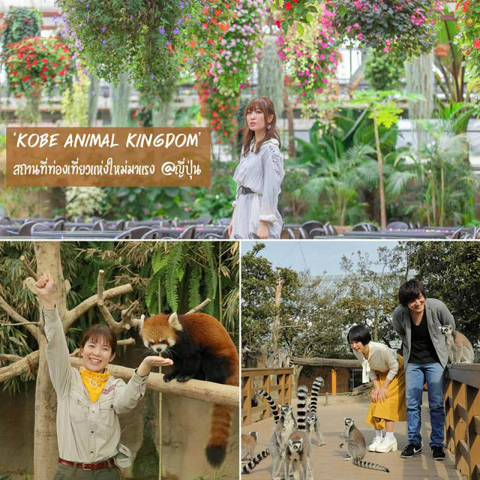 รูปภาพหน้าปกบทความ:'Kobe Animal Kingdom' สวนพฤกษศาสตร์ × สวนสัตว์ ที่เที่ยวแห่งใหม่มาแรง มีเพียงไม่กี่แห่งในญี่ปุ่น!