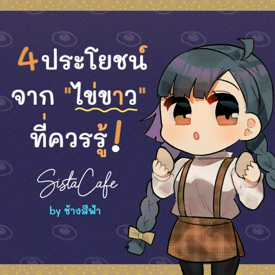 รูปภาพหน้าปกบทความ:4 ประโยชน์จาก "ไข่ขาว" ที่ควรรู้