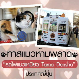 รูปภาพหน้าปกบทความ:ทาสแมวห้ามพลาดกับรถไฟแมวเหมียว (Tama Densha) ประเทศญี่ปุ่น