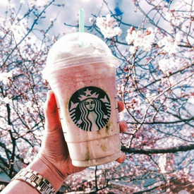 รูปภาพหน้าปกบทความ:Starbucks ออกเมนูใหม่ Cherry Blossom Frappuccino