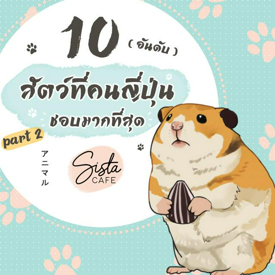 รูปภาพหน้าปกบทความ:10 อันดับ สัตว์ที่คนญี่ปุ่นชอบมากที่สุด Part 2