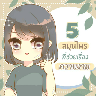 ภาพหน้าปกบทความ:title