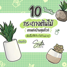 รูปภาพหน้าปกบทความ:10 ไอเดีย กระถางต้นไม้ตกแต่งบ้านสุดคิ้วท์ เพิ่มพื้นที่สีเขียวให้บ้านน่าอยู่ Part 2